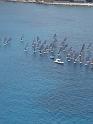 regata (8)